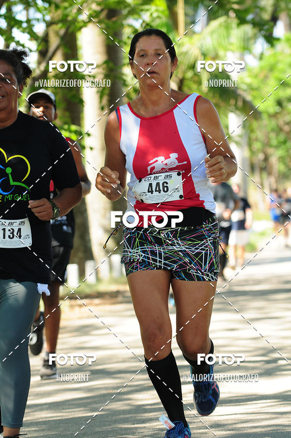 Compra tus fotos del eventoPIT BULL RUNNING En Fotop