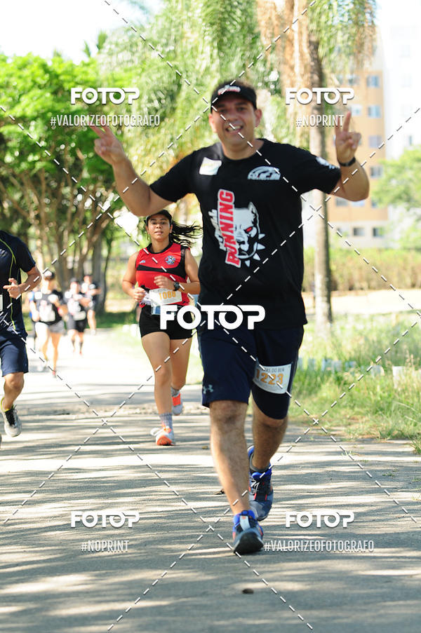 Compra tus fotos del eventoPIT BULL RUNNING En Fotop