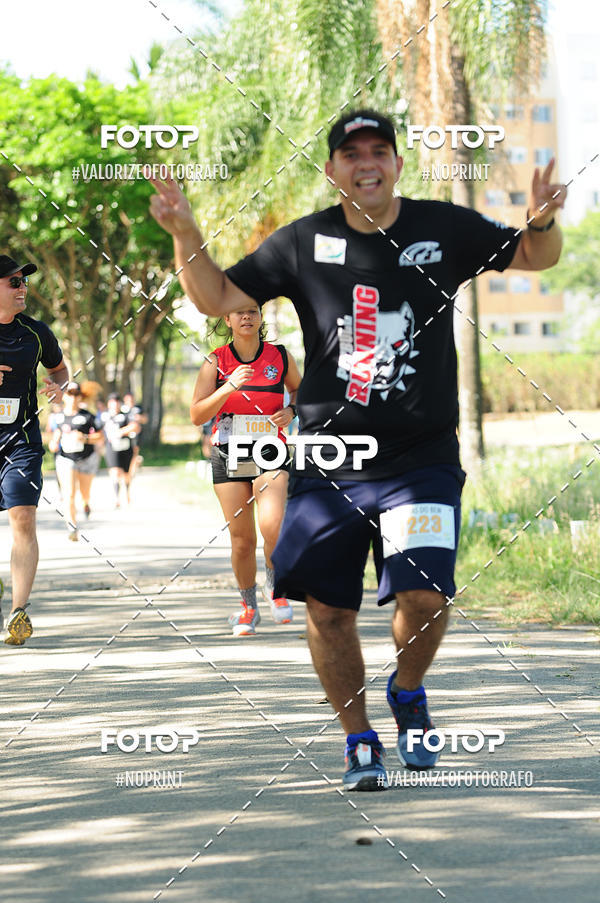 Compra tus fotos del eventoPIT BULL RUNNING En Fotop