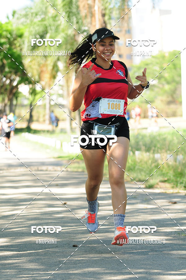 Compra tus fotos del eventoPIT BULL RUNNING En Fotop