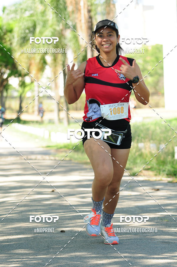 Compra tus fotos del eventoPIT BULL RUNNING En Fotop