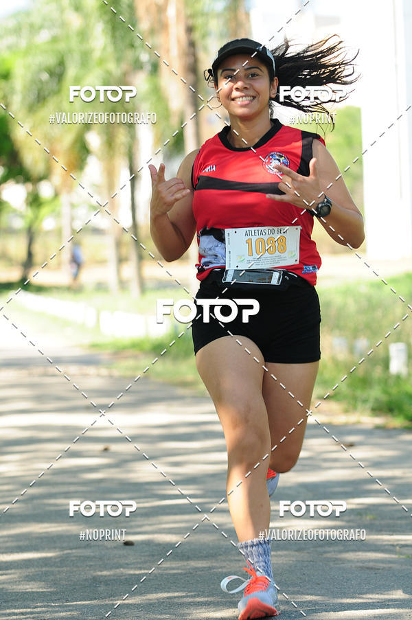 Compra tus fotos del eventoPIT BULL RUNNING En Fotop