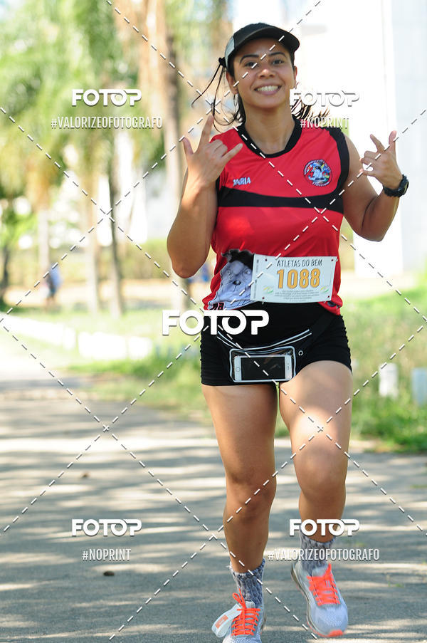 Compra tus fotos del eventoPIT BULL RUNNING En Fotop