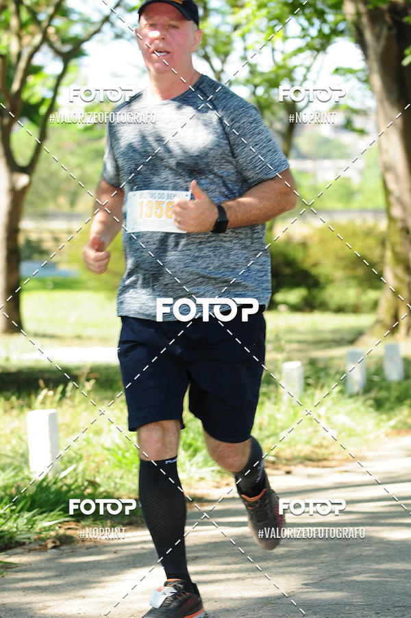 Compra tus fotos del eventoPIT BULL RUNNING En Fotop