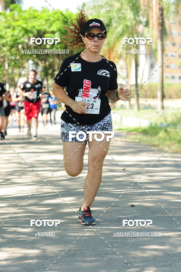 Compra tus fotos del eventoPIT BULL RUNNING En Fotop