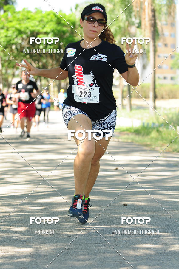 Compra tus fotos del eventoPIT BULL RUNNING En Fotop