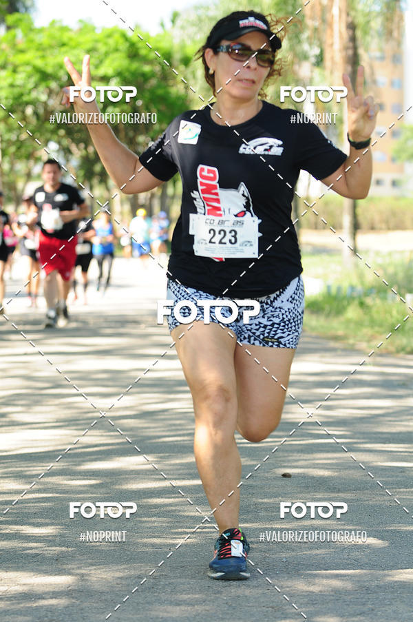 Compra tus fotos del eventoPIT BULL RUNNING En Fotop