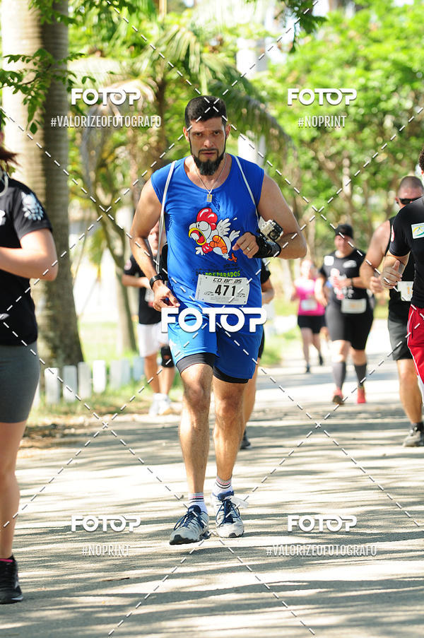 Acquista le foto dell'eventoPIT BULL RUNNING in Fotop