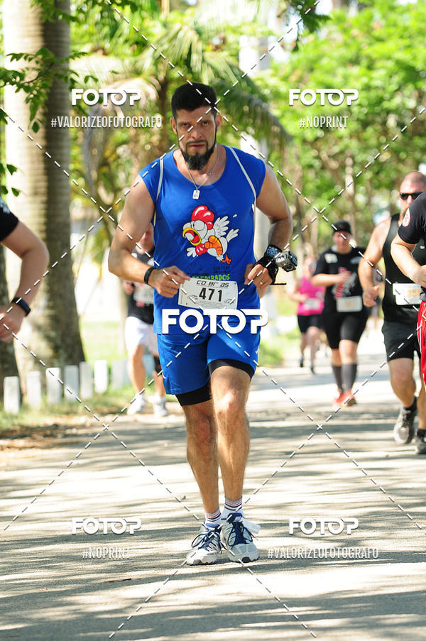 Acquista le foto dell'eventoPIT BULL RUNNING in Fotop