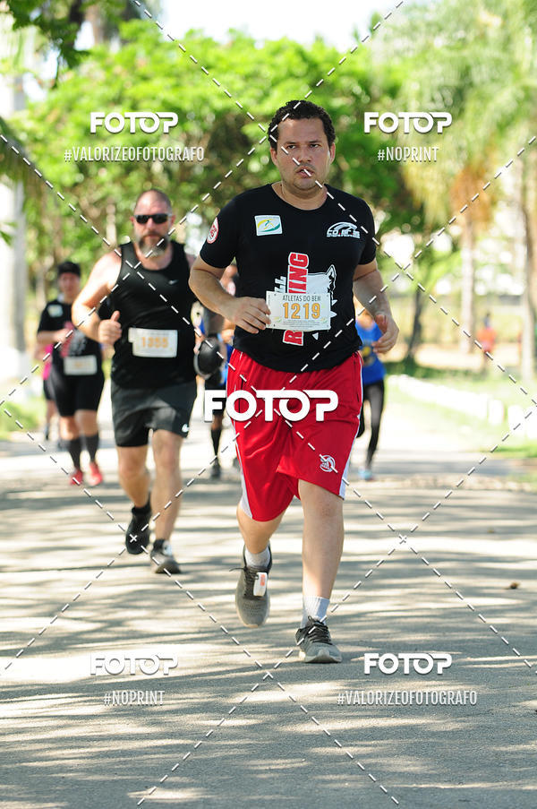 Acquista le foto dell'eventoPIT BULL RUNNING in Fotop