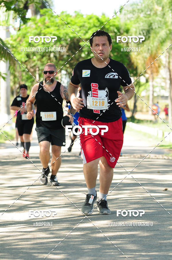 Acquista le foto dell'eventoPIT BULL RUNNING in Fotop