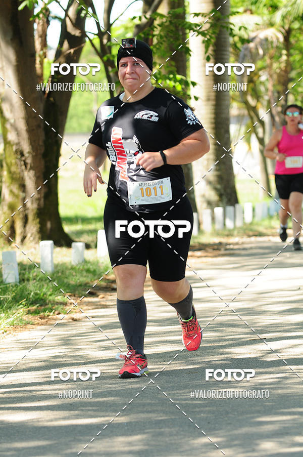 Acquista le foto dell'eventoPIT BULL RUNNING in Fotop