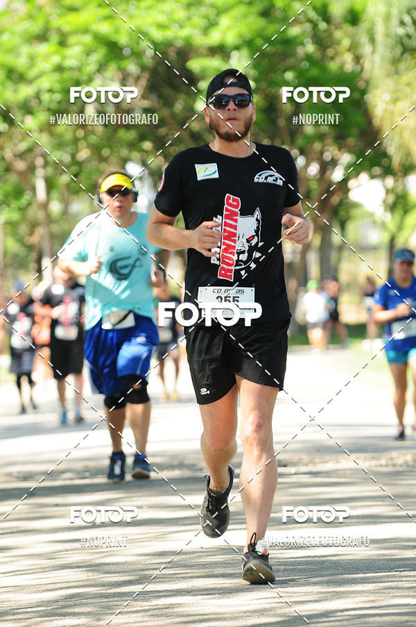 Acquista le foto dell'eventoPIT BULL RUNNING in Fotop