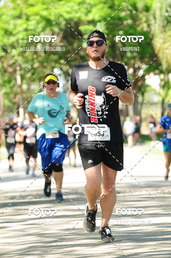 Acquista le foto dell'eventoPIT BULL RUNNING in Fotop