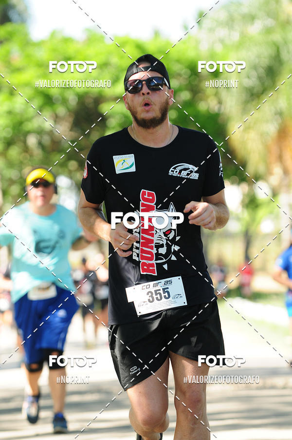 Acquista le foto dell'eventoPIT BULL RUNNING in Fotop