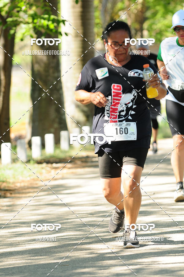 Achetez vos photos de l'vnementPIT BULL RUNNING sur Fotop