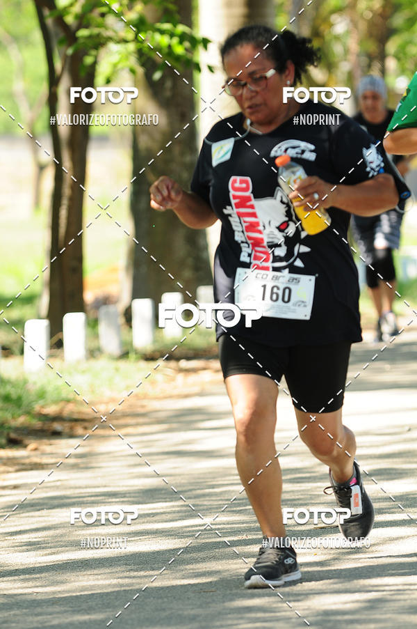 Achetez vos photos de l'vnementPIT BULL RUNNING sur Fotop