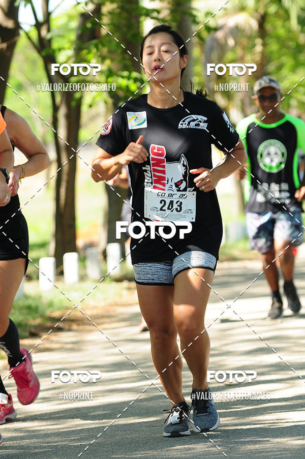 Achetez vos photos de l'vnementPIT BULL RUNNING sur Fotop