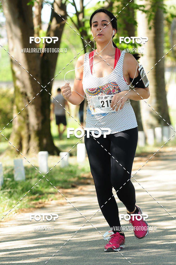 Buy your photos of the eventPIT BULL RUNNING on Fotop