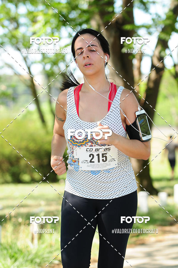 Buy your photos of the eventPIT BULL RUNNING on Fotop