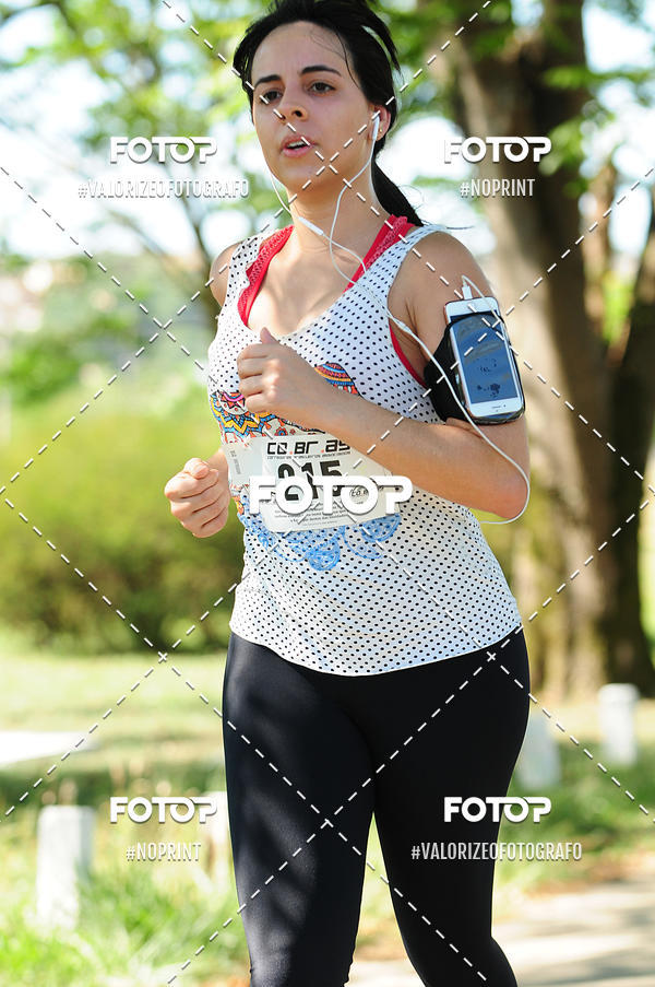 Buy your photos of the eventPIT BULL RUNNING on Fotop