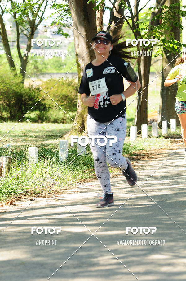 Buy your photos of the eventPIT BULL RUNNING on Fotop