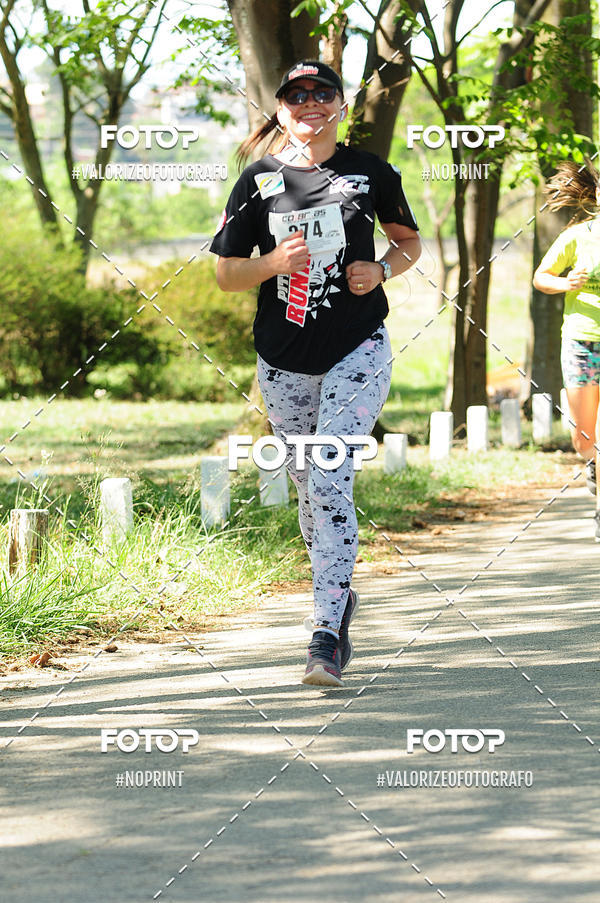 Buy your photos of the eventPIT BULL RUNNING on Fotop