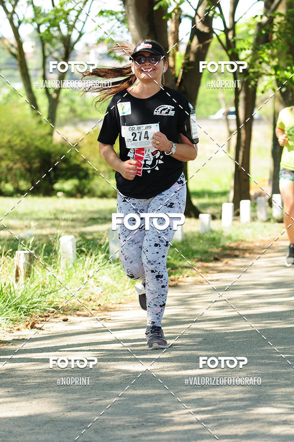 Buy your photos of the eventPIT BULL RUNNING on Fotop