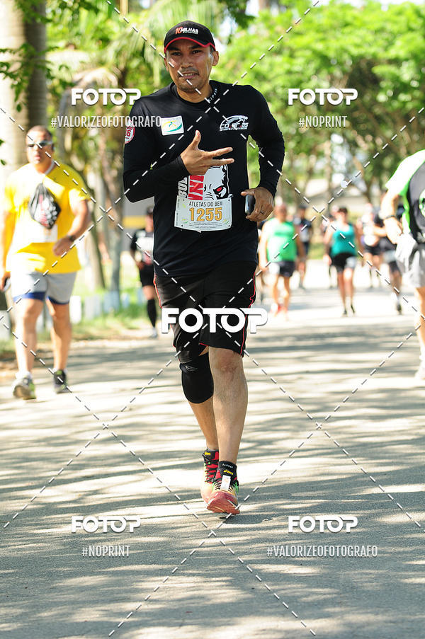 Buy your photos of the eventPIT BULL RUNNING on Fotop