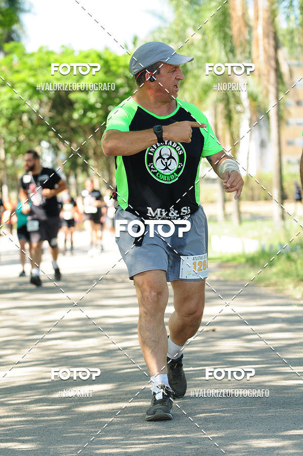 Buy your photos of the eventPIT BULL RUNNING on Fotop