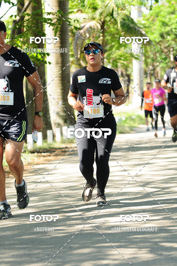 Compre suas fotos do eventoPIT BULL RUNNING no Fotop