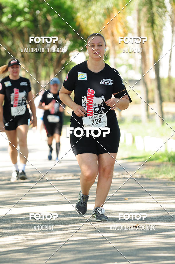 Compre suas fotos do eventoPIT BULL RUNNING no Fotop