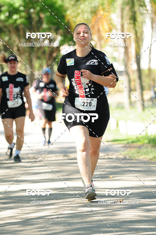 Compre suas fotos do eventoPIT BULL RUNNING no Fotop