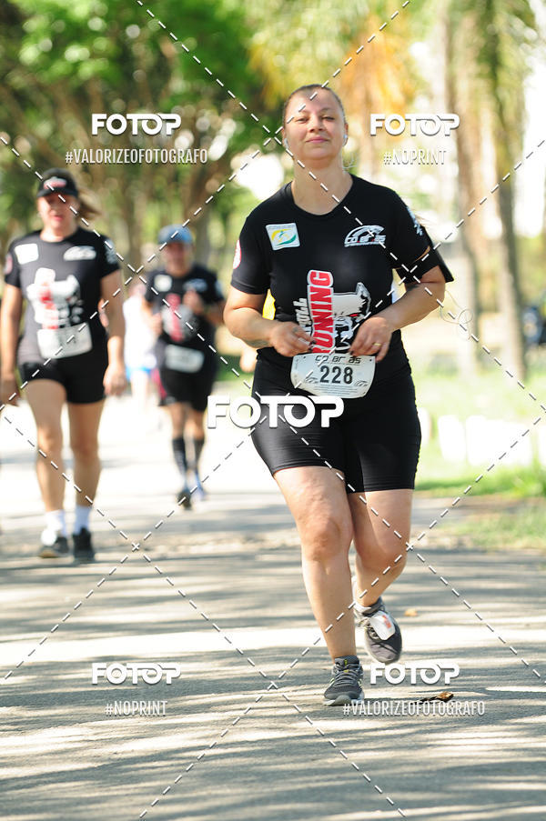 Compre suas fotos do eventoPIT BULL RUNNING no Fotop