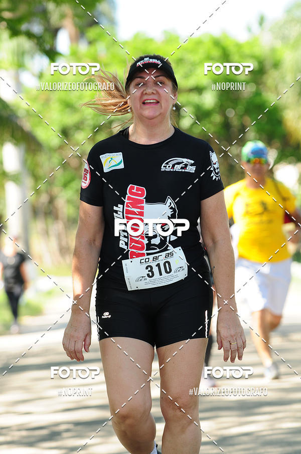 Acquista le foto dell'eventoPIT BULL RUNNING in Fotop