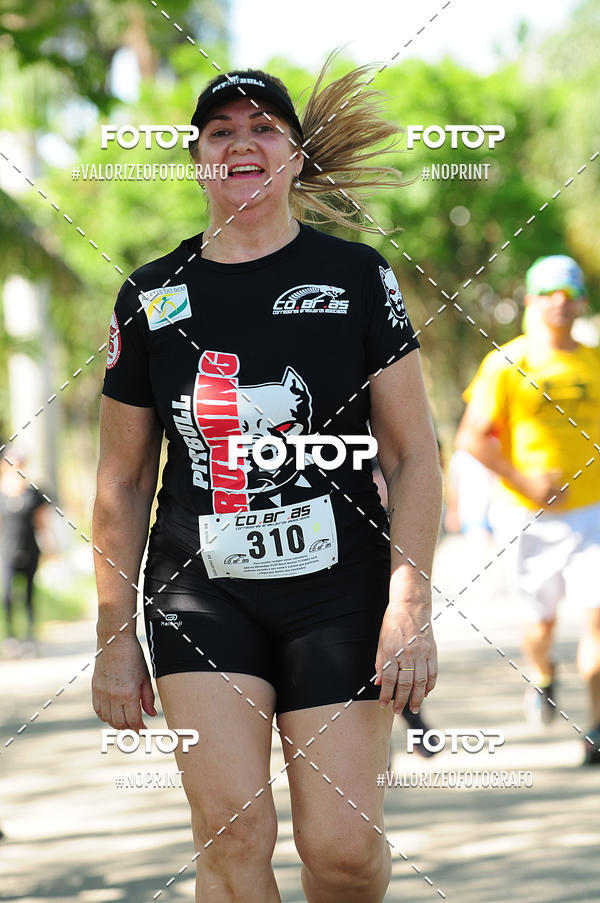 Acquista le foto dell'eventoPIT BULL RUNNING in Fotop