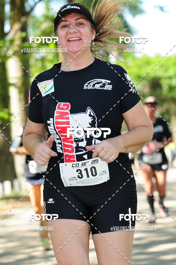 Acquista le foto dell'eventoPIT BULL RUNNING in Fotop