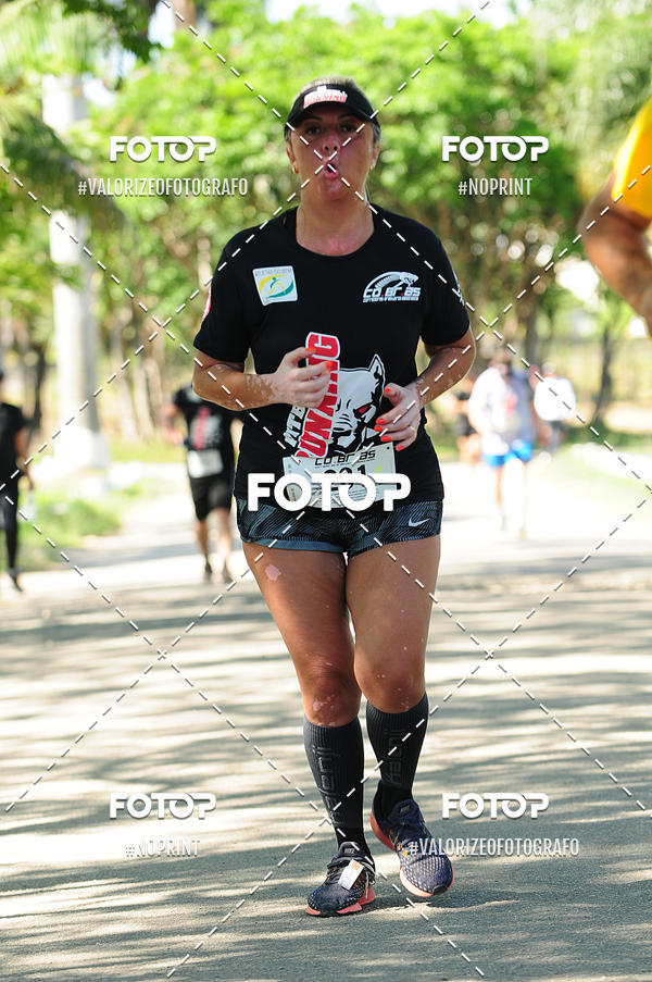 Acquista le foto dell'eventoPIT BULL RUNNING in Fotop