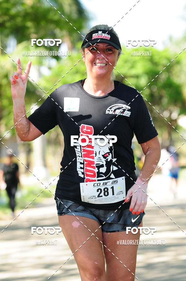 Acquista le foto dell'eventoPIT BULL RUNNING in Fotop