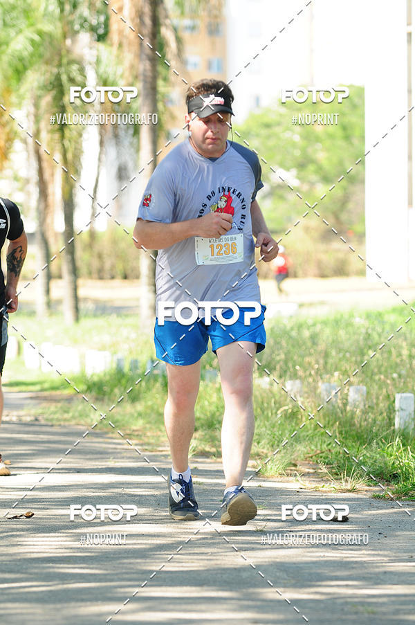 Acquista le foto dell'eventoPIT BULL RUNNING in Fotop