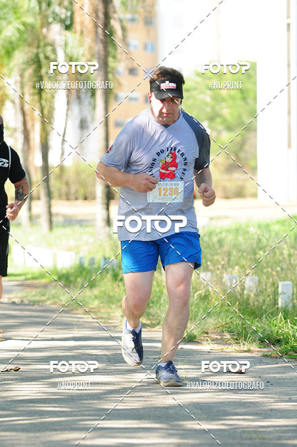 Acquista le foto dell'eventoPIT BULL RUNNING in Fotop