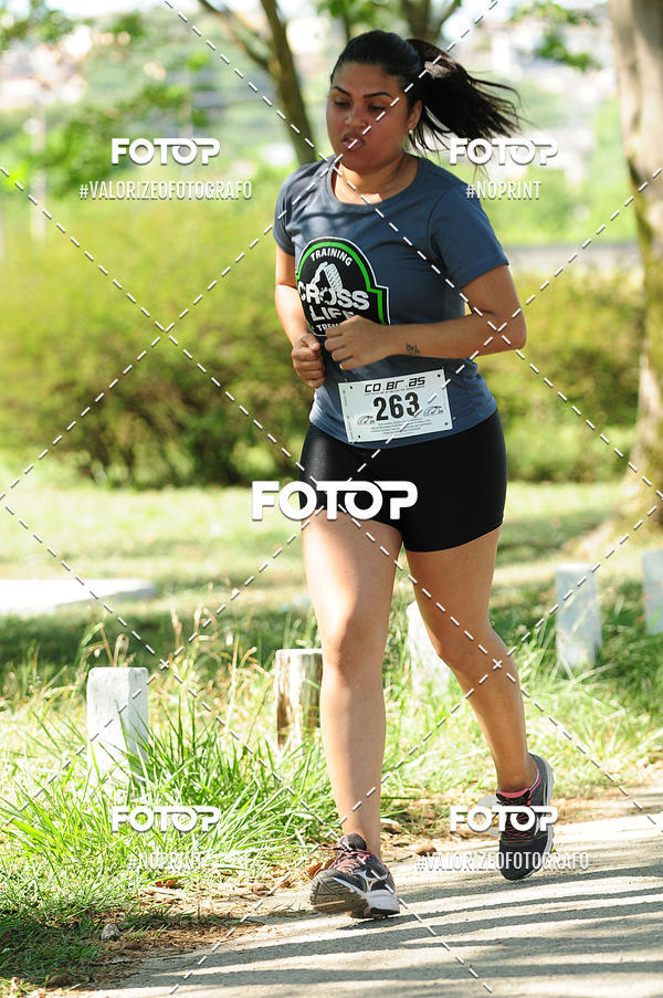 Acquista le foto dell'eventoPIT BULL RUNNING in Fotop