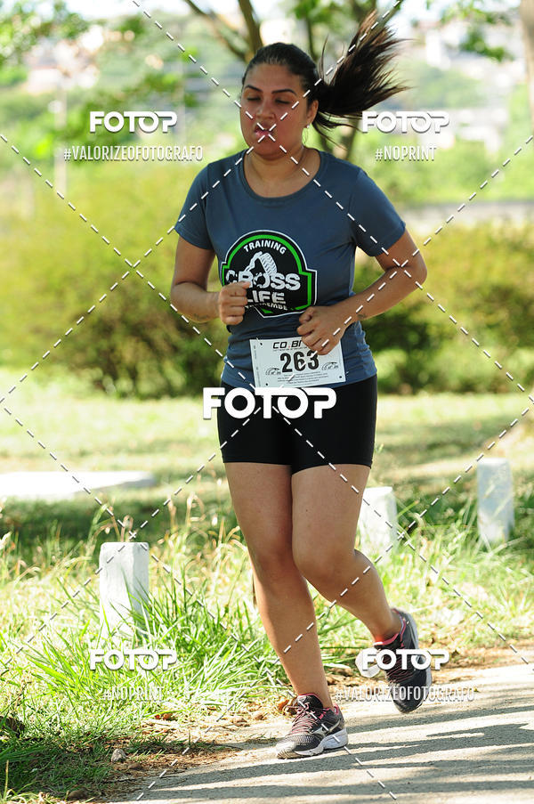 Acquista le foto dell'eventoPIT BULL RUNNING in Fotop