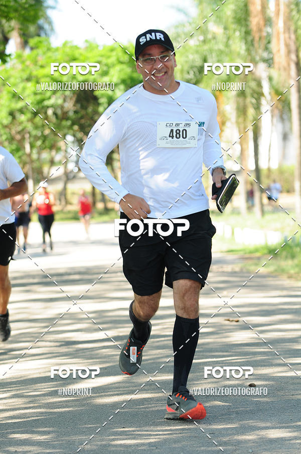 Achetez vos photos de l'vnementPIT BULL RUNNING sur Fotop