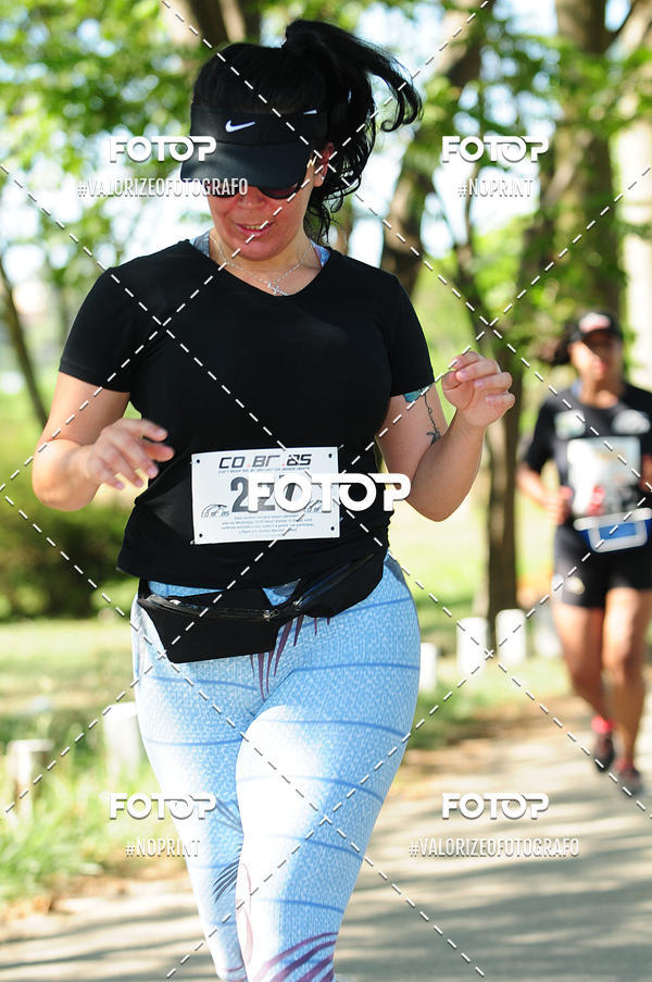 Achetez vos photos de l'vnementPIT BULL RUNNING sur Fotop