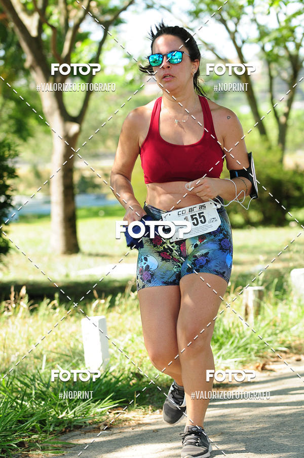 Achetez vos photos de l'vnementPIT BULL RUNNING sur Fotop