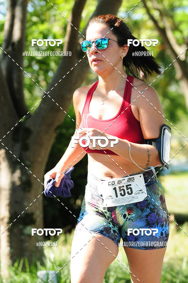 Achetez vos photos de l'vnementPIT BULL RUNNING sur Fotop