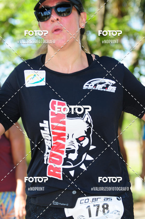 Achetez vos photos de l'vnementPIT BULL RUNNING sur Fotop