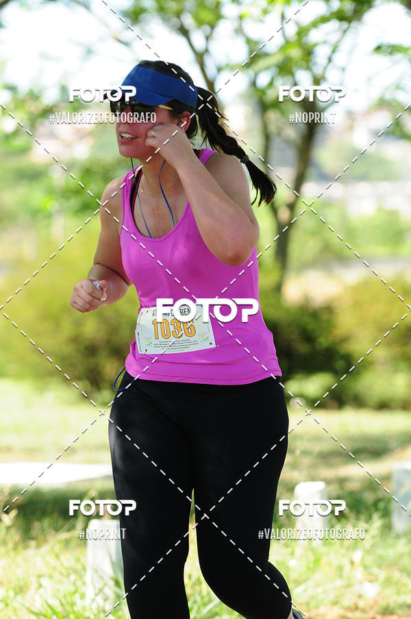 Achetez vos photos de l'vnementPIT BULL RUNNING sur Fotop