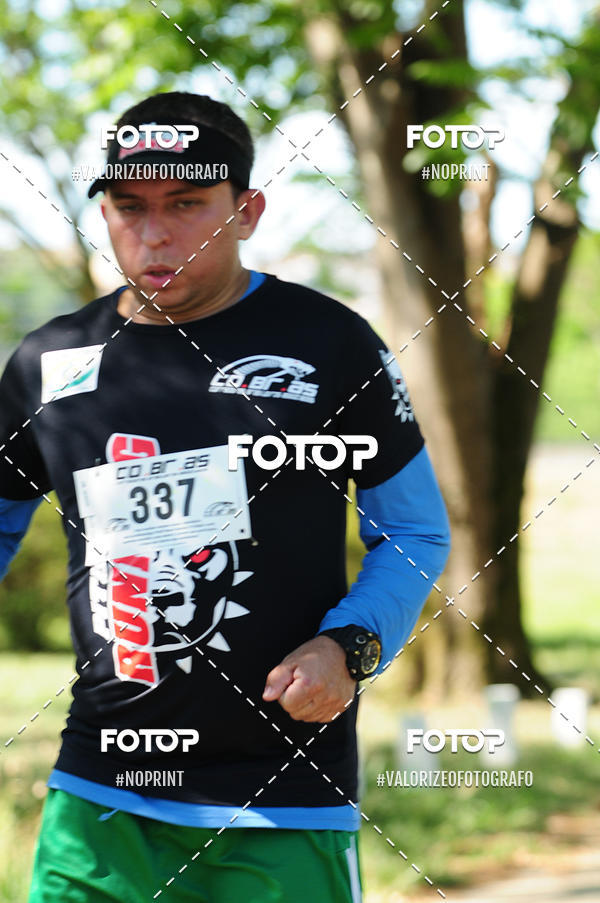 Achetez vos photos de l'vnementPIT BULL RUNNING sur Fotop